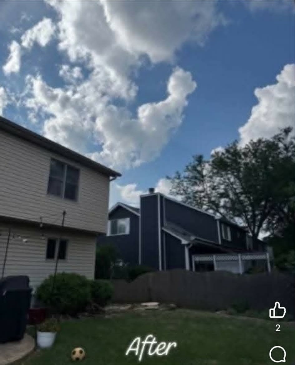 Clean yard and corner property after tree removal