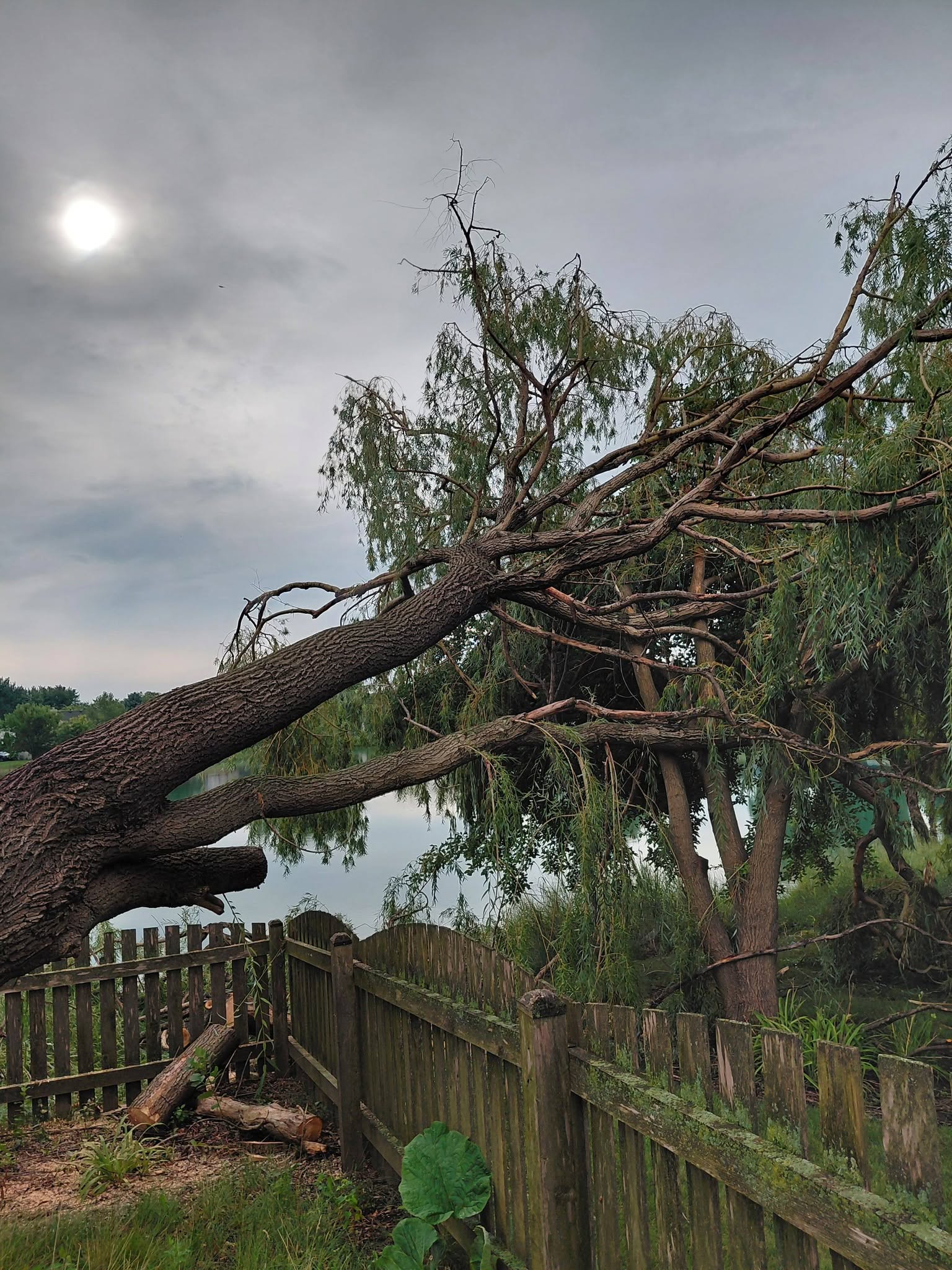 Storm damage tree removal and hauling