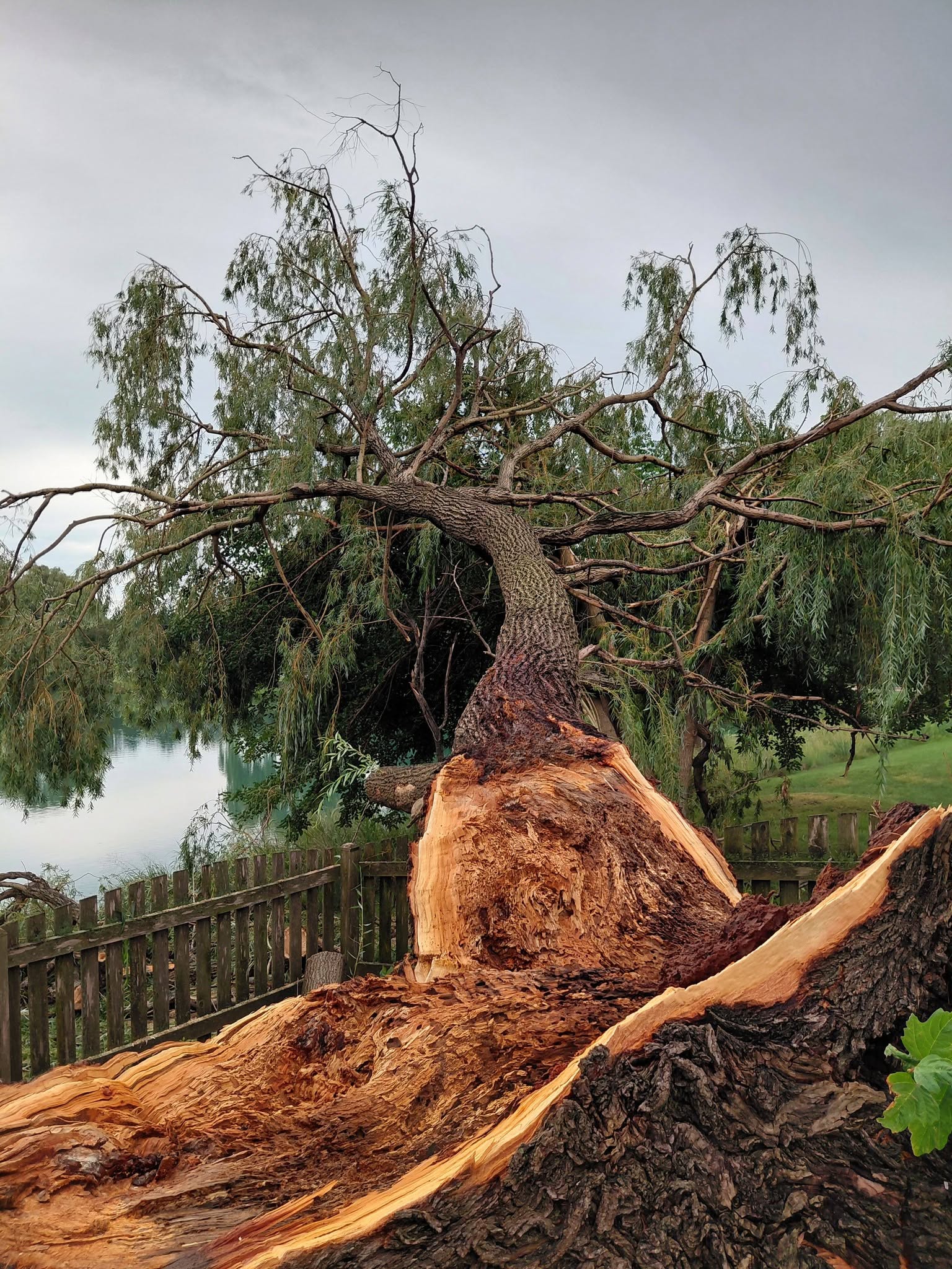 Heavy log cutting and cleanup process