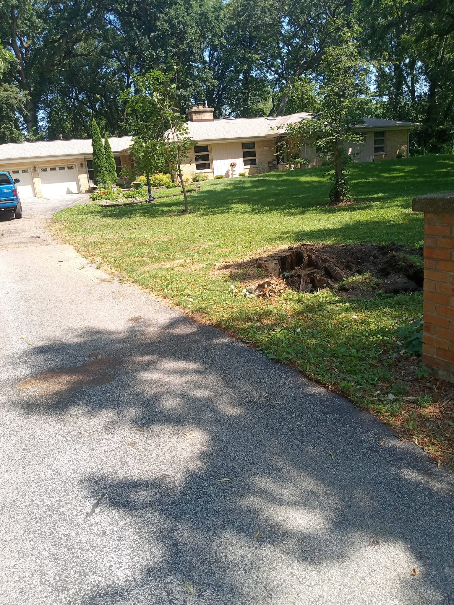 Ground leveled and cleared following stump grinding