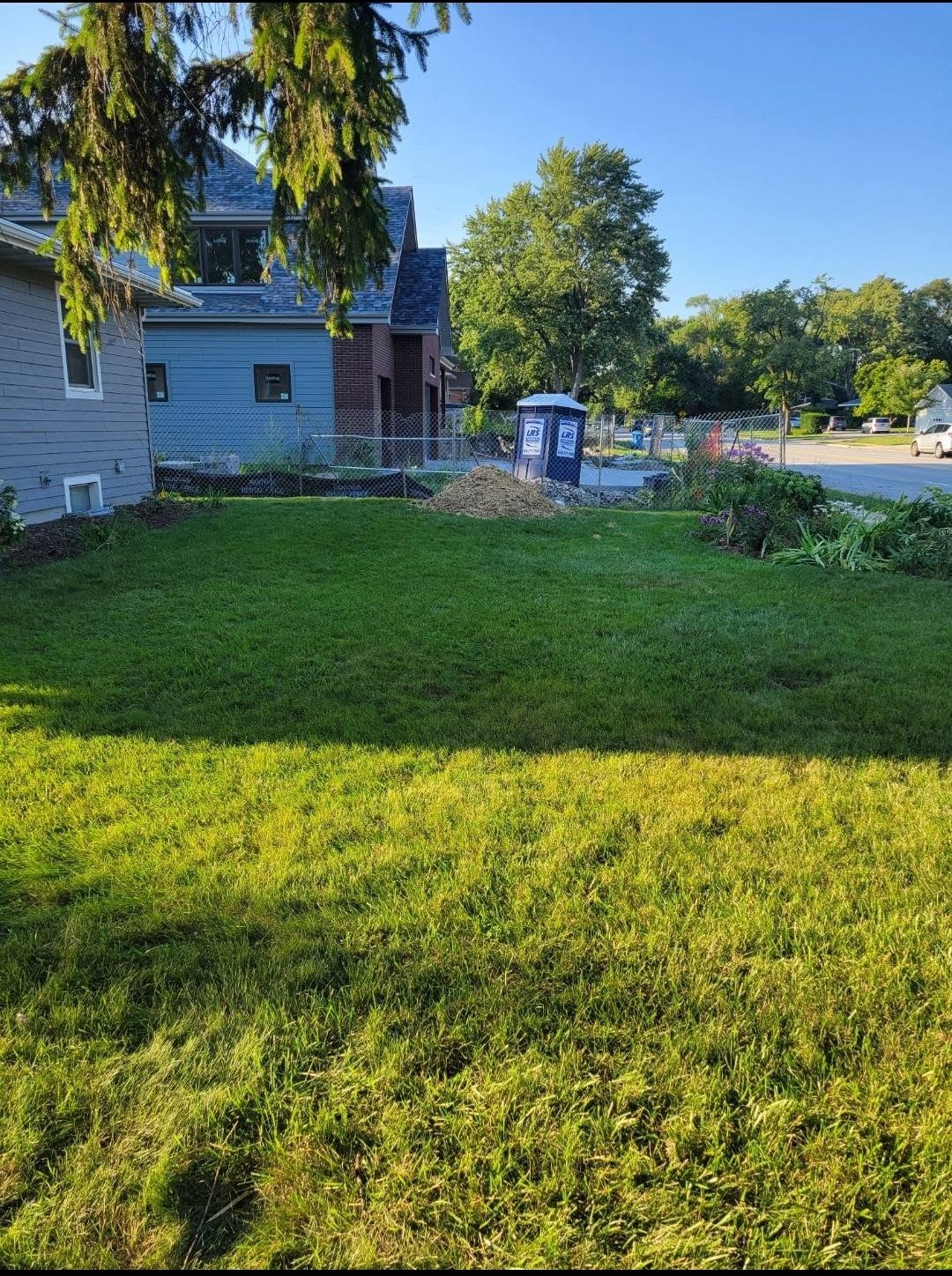 Mature tree preserved and healthy following certified arborist evaluation