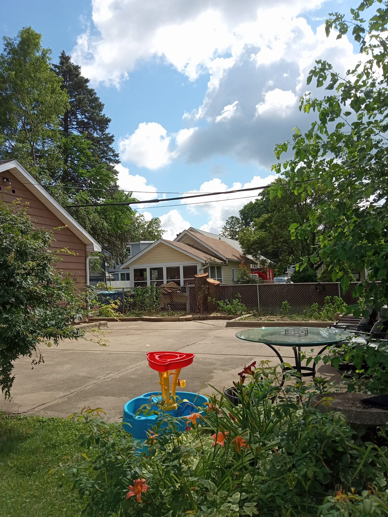 Completed property clearing along wire fence