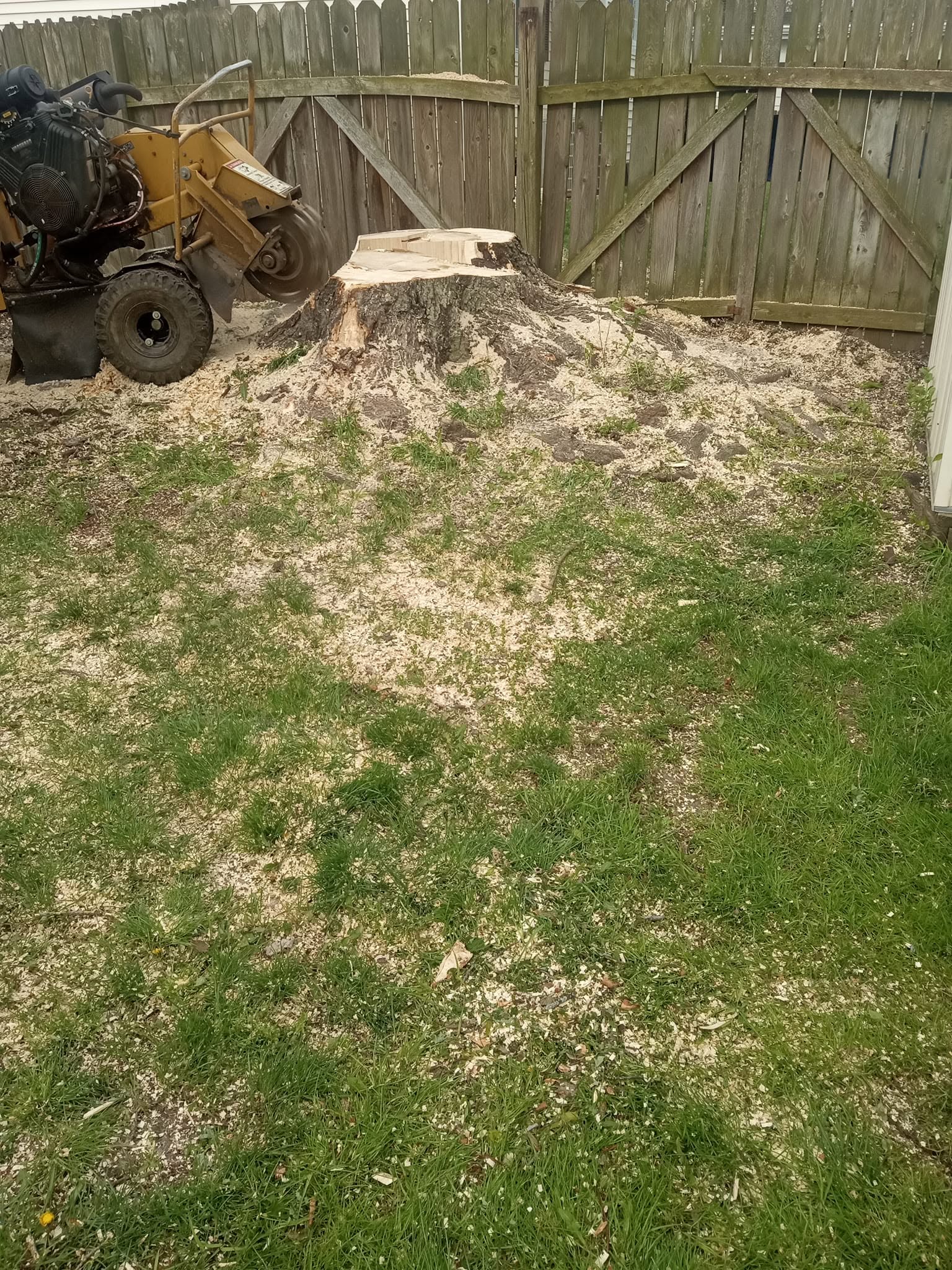Clean fence line and backyard view after completion