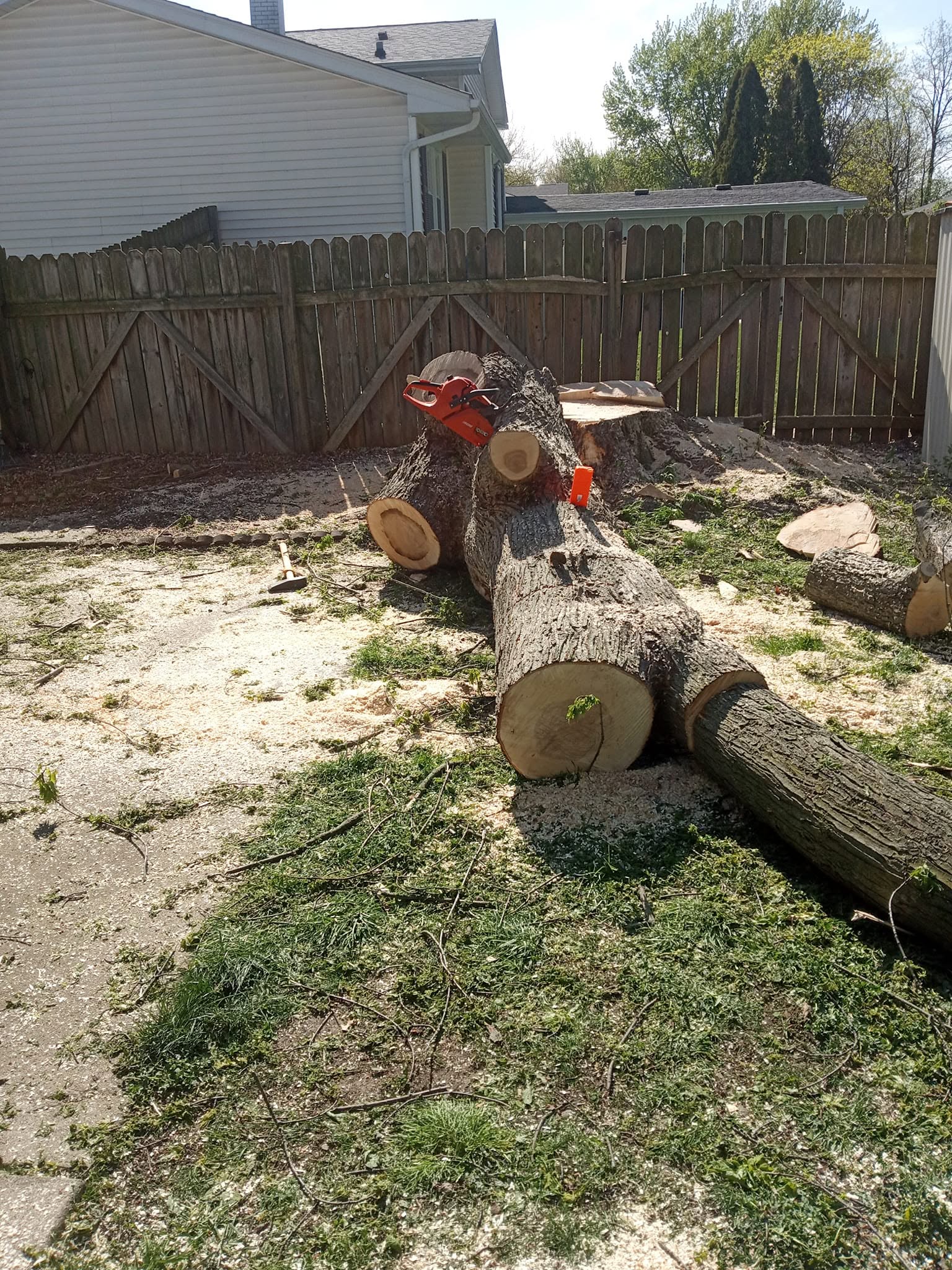 Controlled section removal near fence